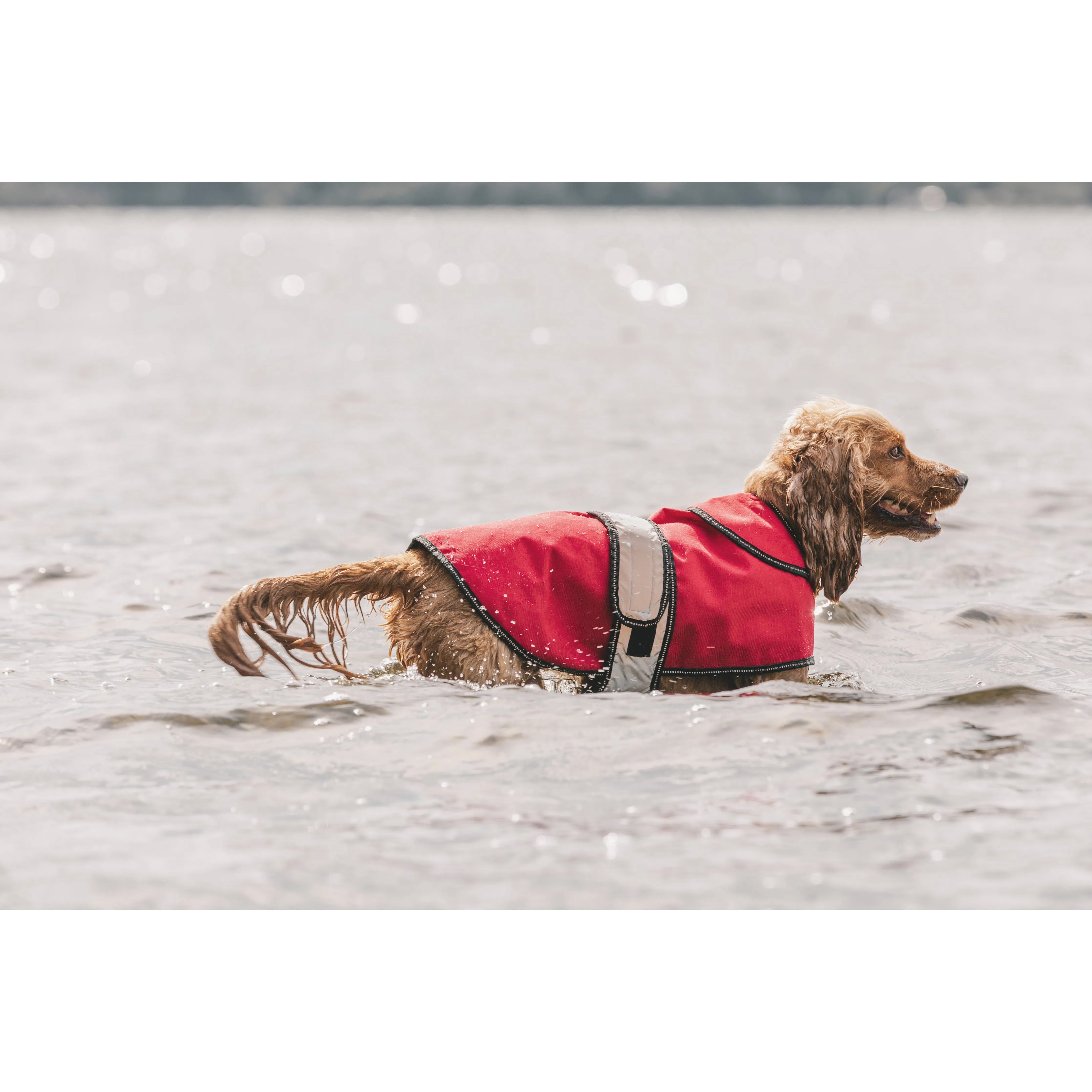 Duke-X  2 In 1 Waterproof Dog Jacket With Inner Fleece