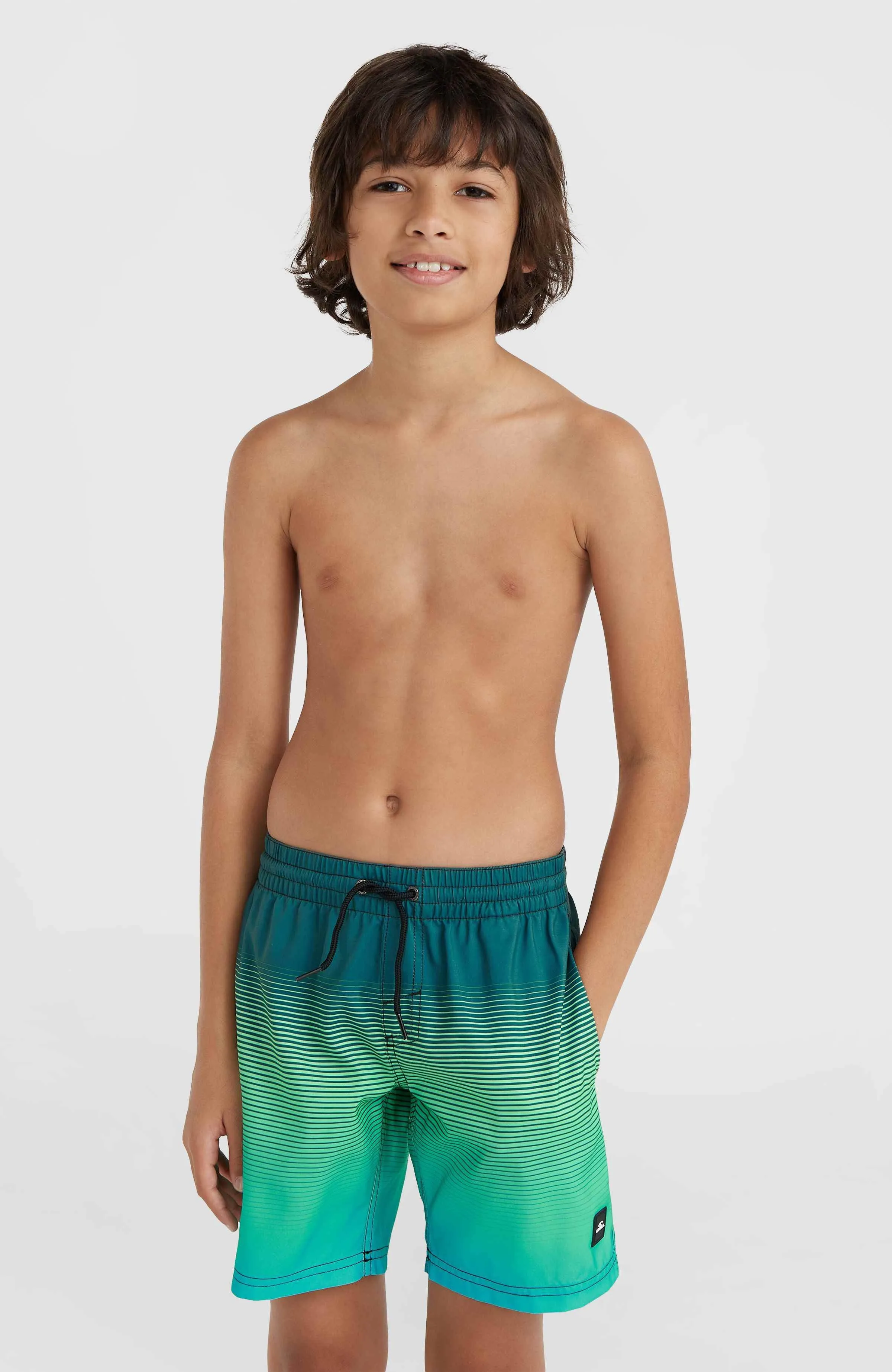 Jack O'Neill Cali Gradient 14" Swim Shorts | Beetle Juice Simple Gradient Panel