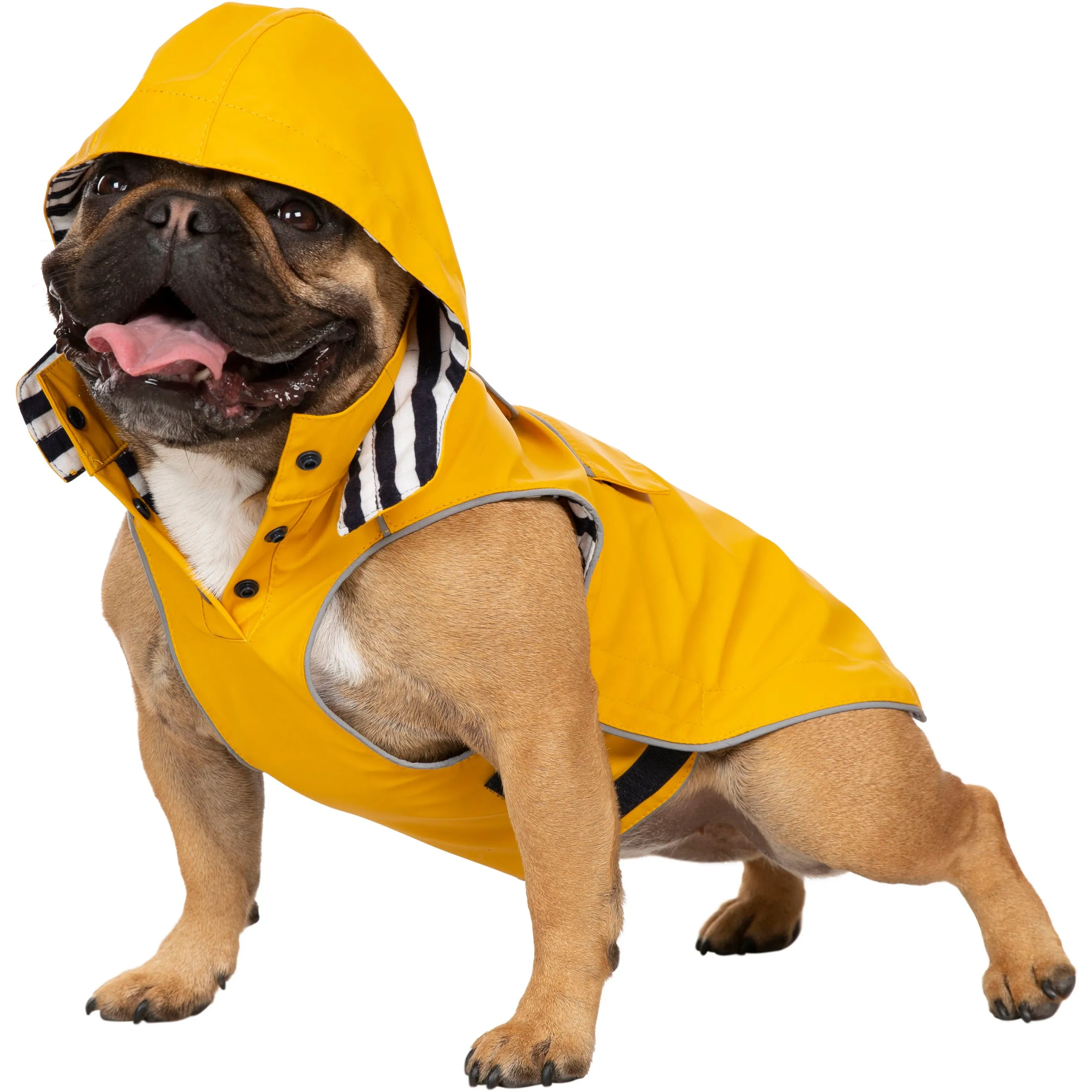 Sunshine Yellow Seadog Waterproof Dog Raincoat - Stylish and Durable Canine Rain Gear