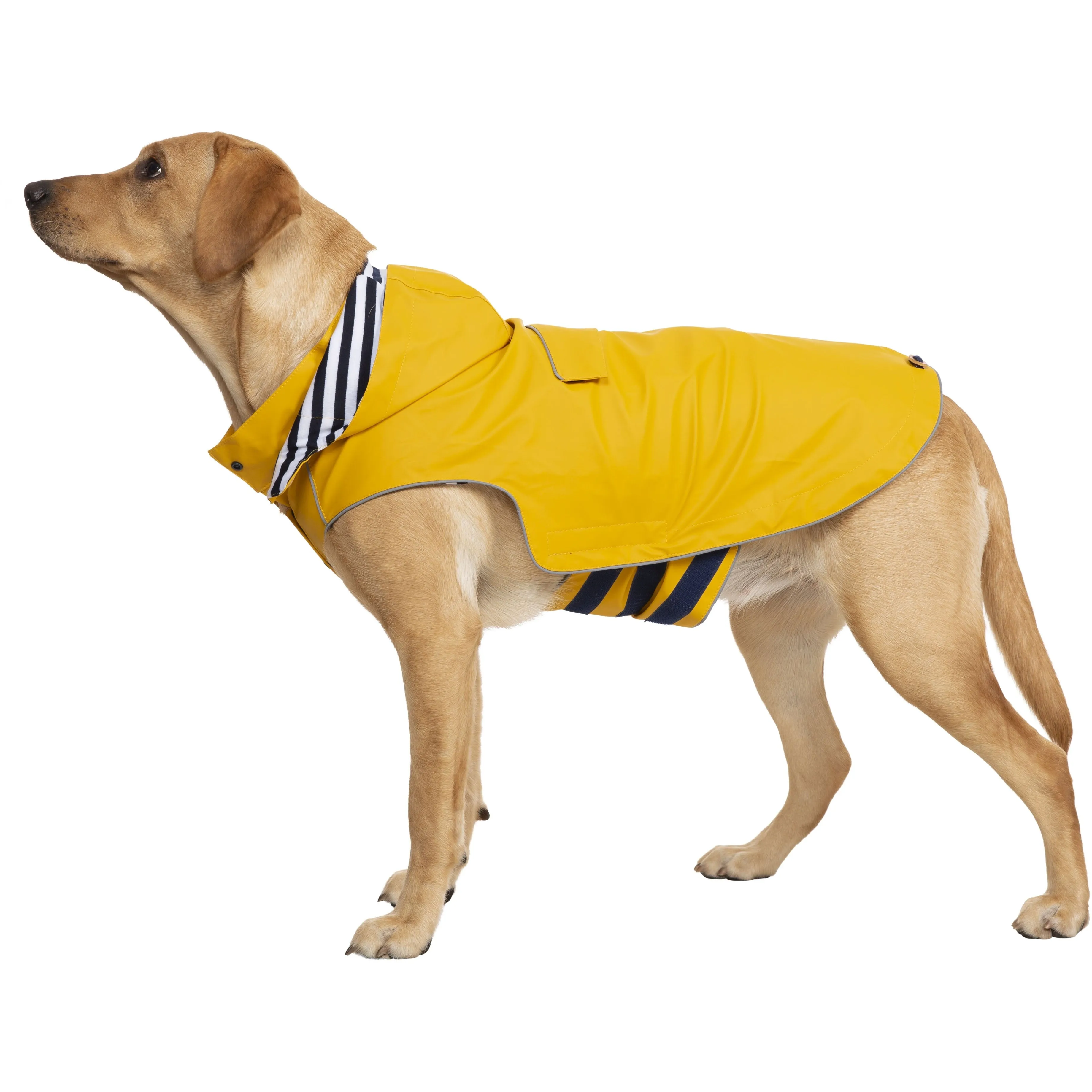 Sunshine Yellow Seadog Waterproof Dog Raincoat - Stylish and Durable Canine Rain Gear